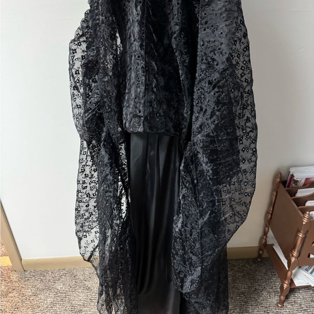 Delia’s black dolls kill floral embroidered Tulle gothic maxi dress NWT🐸 - Picture 11 of 12